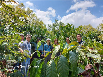 Trường Đại học Nha Trang: Quỹ Đổi mới sáng tạo Vingroup tài trợ dự án INNSA nhằm phát triển một nền tảng nông nghiệp Thông minh và Đổi mới sáng tạo cho chuỗi giá trị cà phê bền vững tại Việt Nam